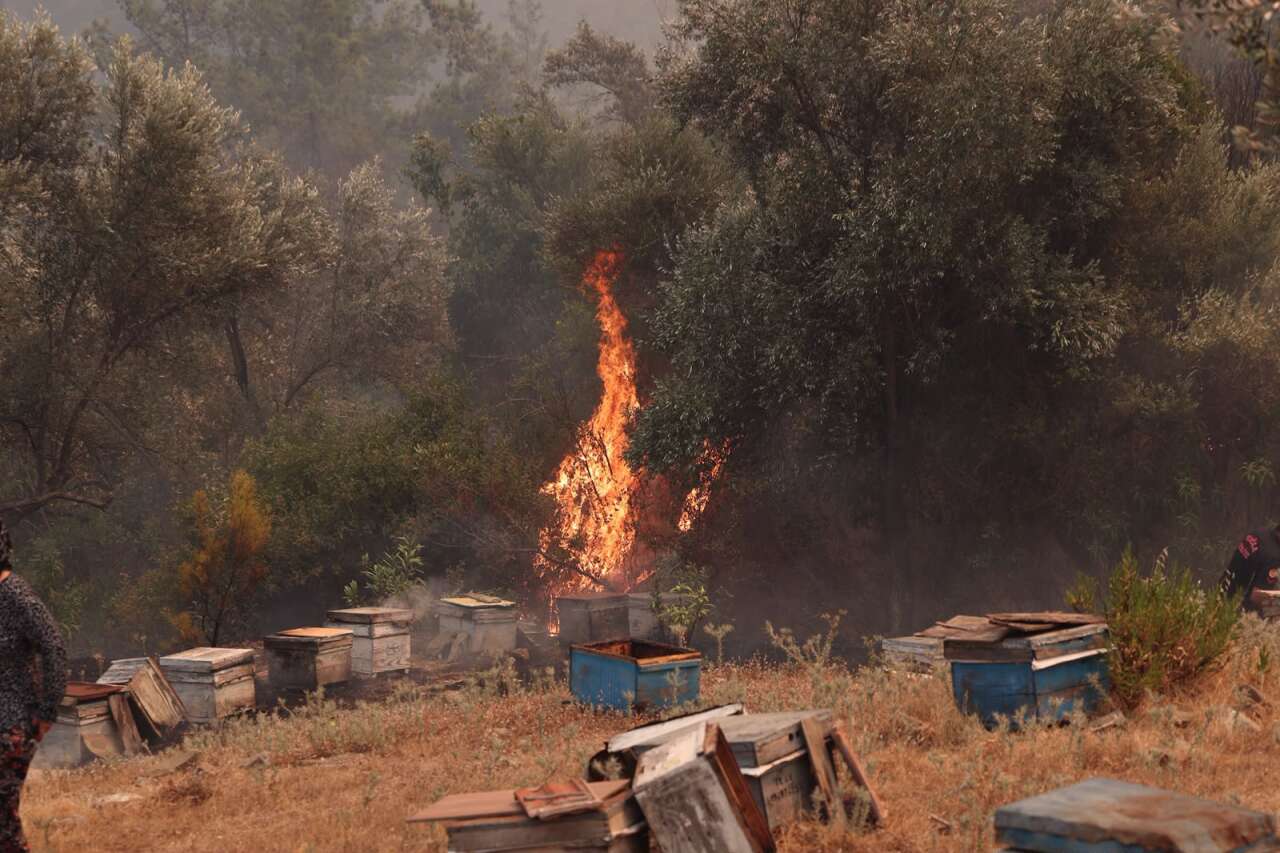 Muğla Büyükşehir Belediyesi, Seydikemer ve Fethiye’deki Yangınlara Tüm Birimleriyle Müdahale Ediyor 6